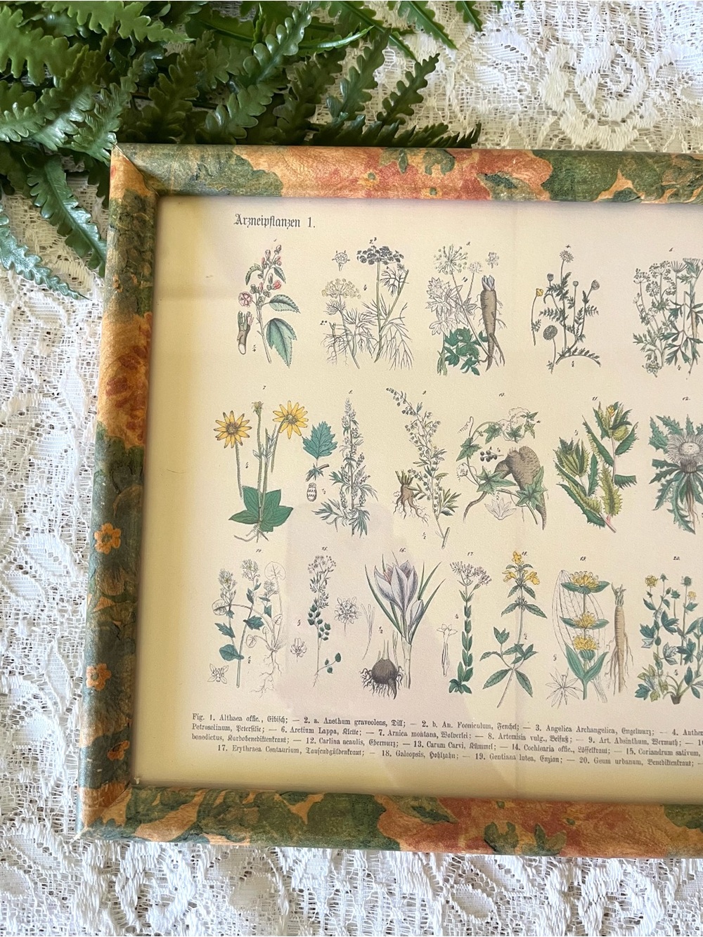 Vintage Wood Framed Floral Herbal Chart 8x10 - Picture 2 of 4